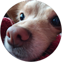 Frenchiee M. profile picture